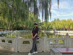 -丰台花园