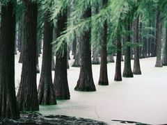 -渌洋湖湿地公园