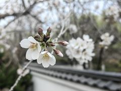 -济南南郊宾馆