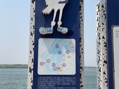 -丁香湖公园