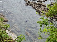 -大连金石滩国家旅游度假区