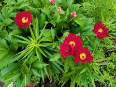 -奇滋豆味(南十四道街店)