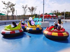 -季高兔窝窝亲子园(上海薰衣草公园店)