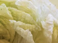 白菜-将台涮肉(万科店)