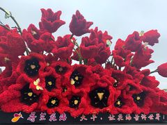 -荷兰花海