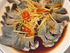 -煲来饱去冷水鱼