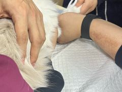 -美联众合动物医院·24h转诊中心