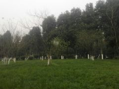 -龙头寺公园