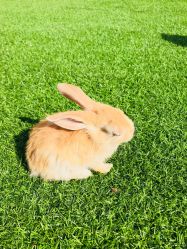 -萌宠亲子动物乐园(槐房万达店)