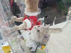 -万达广场(太原街店)