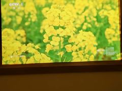 -家富足道·SPA·影院式(解放碑碑中心店)