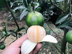 -红旗山庄(圭峰山店)