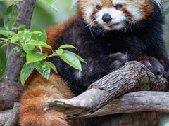 -Galleria百货店名品馆