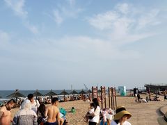 -秦皇岛阿尔卡迪亚滨海度假酒店