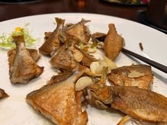 -富豪酒家(正大广场店)