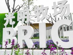 -光明牧业有限公司金山种奶牛场