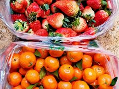 -家辉生鲜超市(东五路店)