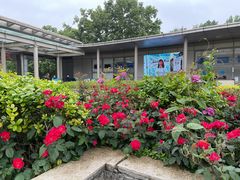 -江苏省人民医院(广州路院区)