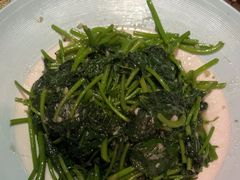 -桃源人家(东门店)