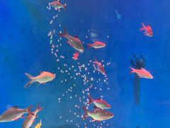 -成都浩海立方海洋公园