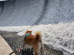 -观潮胜地公园