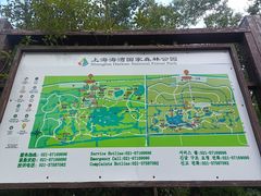 -上海海湾国家森林公园