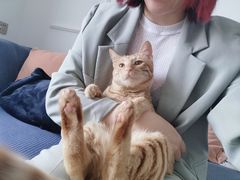 -伟伟宠物医院·CT影像中心·瑞派犬猫综合性门诊(汉口总院)