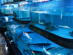 水产区-天怡·鱼工厂(临江店)