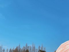 -云间粮仓