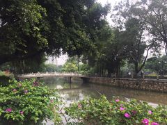 -晓港公园