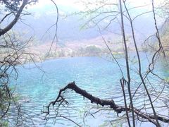 树正沟-九寨沟-树正沟