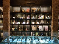 -雪灵魔法世界SHELLY’S TAROT(大良桂畔里店)