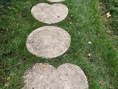 -神光山国家森林公园