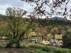 -塔川景区