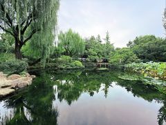 -秋霞圃
