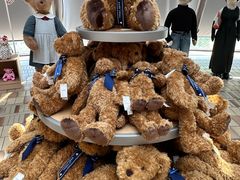 -济州岛泰迪熊博物馆