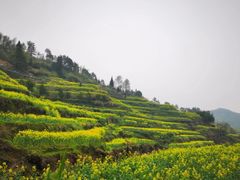 -灵山景区梯田
