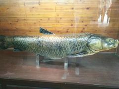 -南京金牛湖风景区