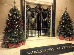 -LONG BAR 廊吧(外滩华尔道夫酒店)