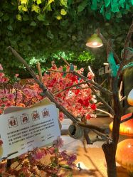 -酷嗒动物文化乐园(cutezoo西溪乐天城店)