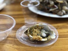 蒜蓉海蛎子-桔子海鲜烧烤大排档(台东店)