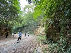 -上海佘山国家森林公园西佘山园