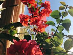 -云之南(八里庄店)