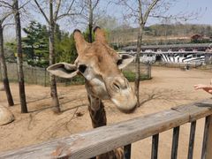 -大连森林动物园
