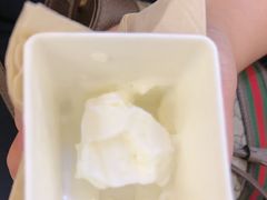 -野人先生Gelato(上海长宁龙之梦店)