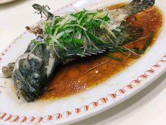 -凤城礼记鱼翅海鲜酒家(新马路总店)
