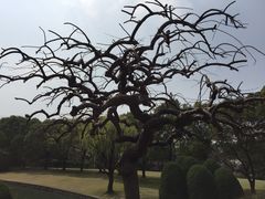 -西郊宾馆·1921餐厅