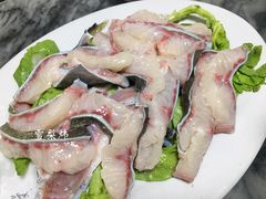 -金砂阿洲鱼册店