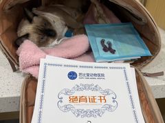 -芭比堂动物医院·CT·微创中心(新顺分院)