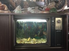 -自然餐厅(Phuket)